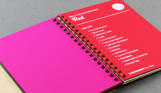 PS-Creative-Paper-Guide-OKI-Print-2