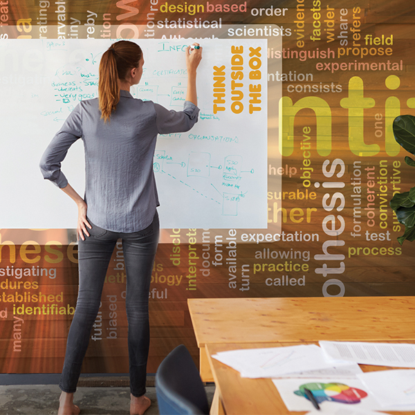 Mastertac Dry Erase Lamination Film Ball & Doggett